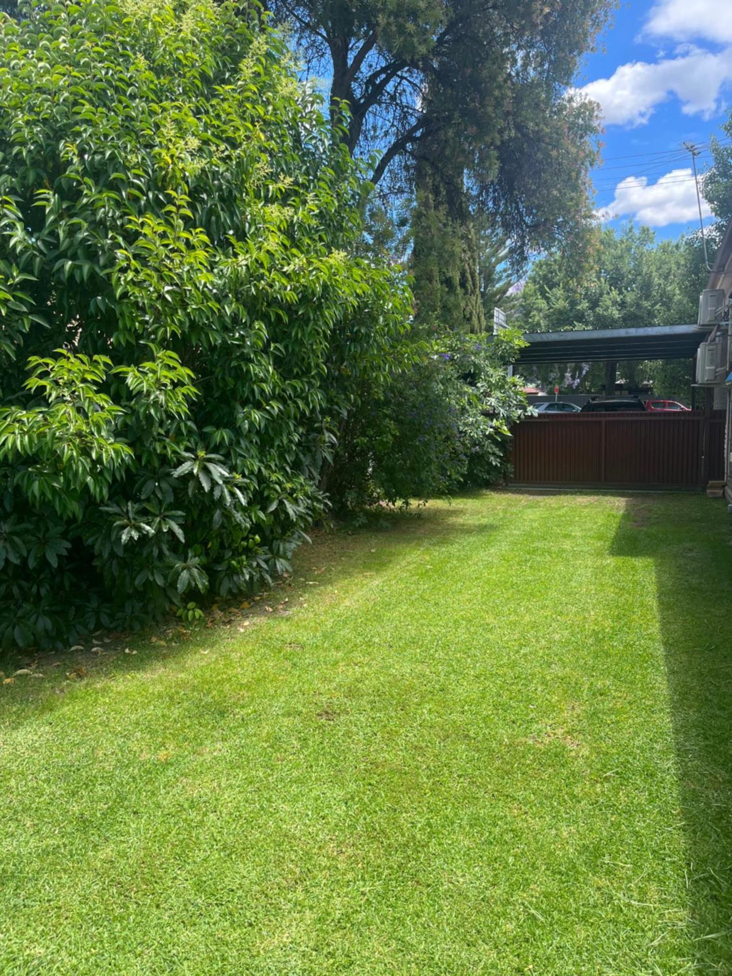 Somerby! Modern Character Property! Cbd,Pets,Park Albury Dış mekan fotoğraf